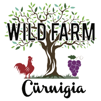 Wild Farm Curnigia – Azienda Agricola Cinque Terre